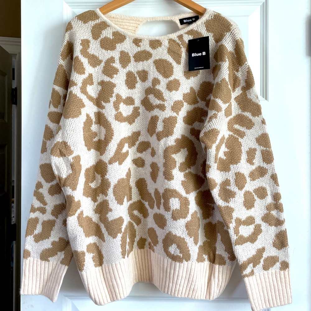 Multi-colored open back sweater